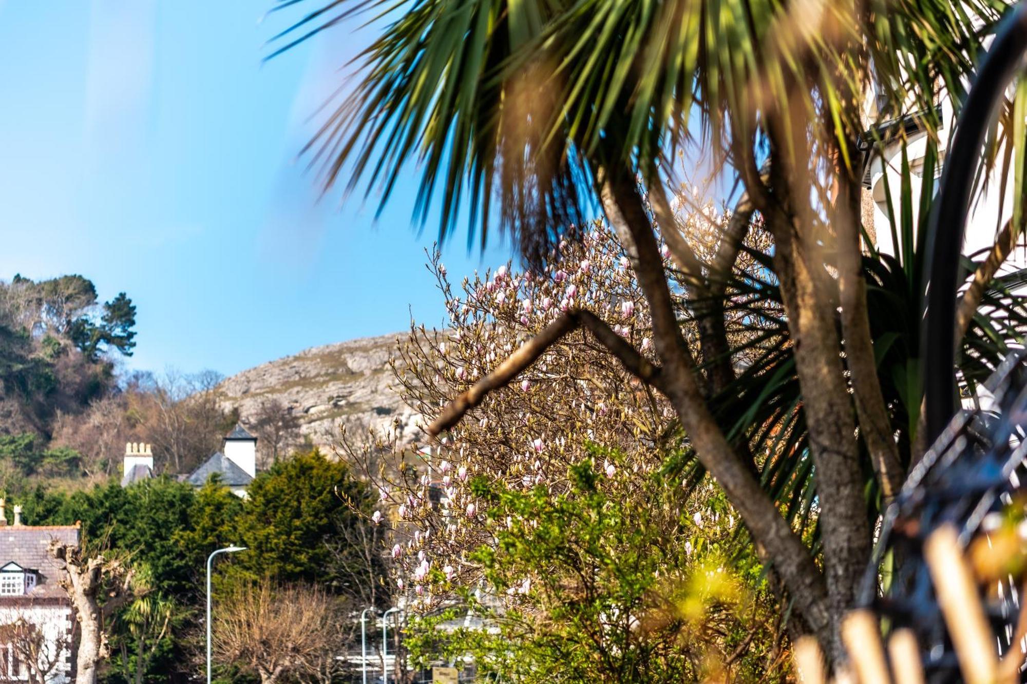 Mulberry House Hotel Llandudno Bagian luar foto